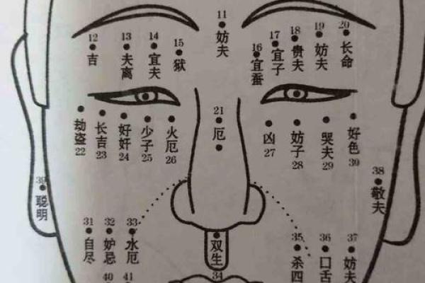 痣相大全PDF下载与解读：全面解析不同痣相的意义与影响