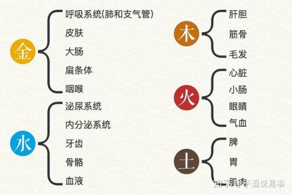 天干与疾病的关系解析：古代五行如何影响健康
