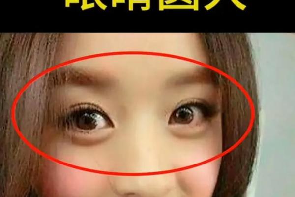 圆眼面相与个性特点的深度剖析