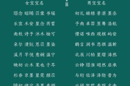选择宝宝起名公司时需注意的五大要素