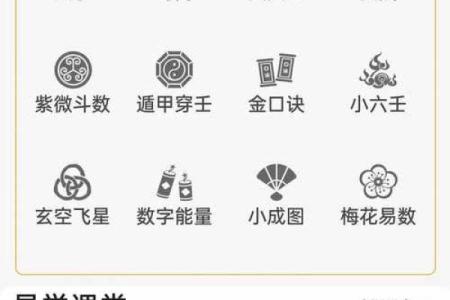 安卓平台上的奇门排盘应用推荐与使用指南