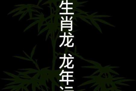属龙命理解析：如何根据出生年份提升运势