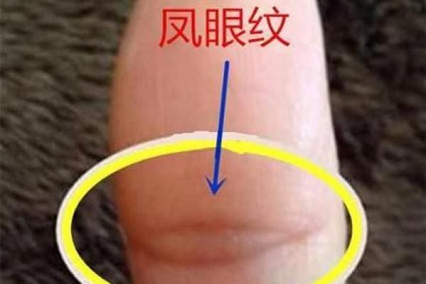天眼手相的神秘力量：探索掌纹中的超感知能力