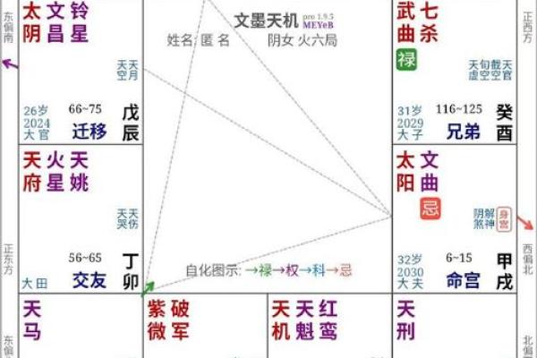 紫微飞星排盘解析：揭示命运走向的神秘力量