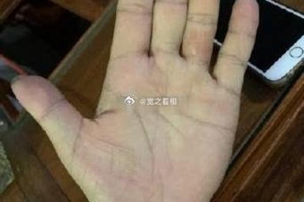 手相漏财纹的含义与辨识技巧