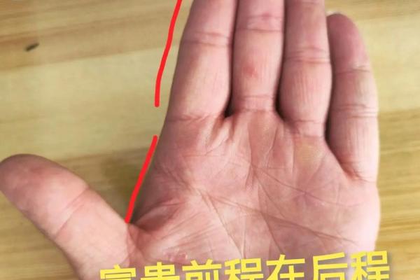 掌中的密码：手相为线索的命运追踪