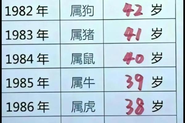 属龙人性格与命运的深度剖析