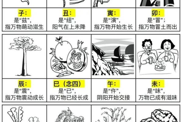 如何快速查找天干与地支的对应关系