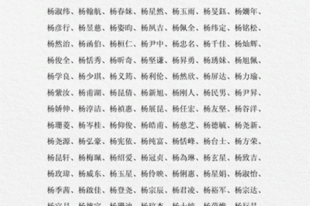 姓杨的宝宝取名建议，打造独特且吉利的名字