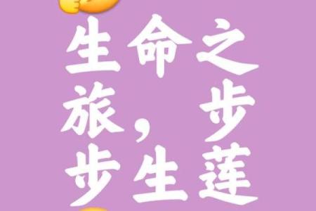 莲花命：如何影响个人运势与人生轨迹