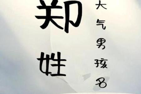 如何为郑姓宝宝选择一个寓意深远的名字