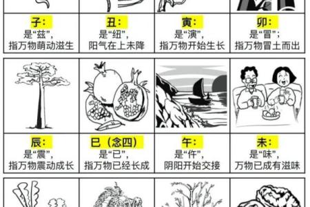 如何快速查找天干与地支的对应关系