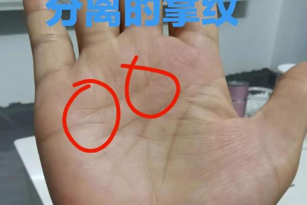 掌纹中的乱纹：探究你人生的转折点