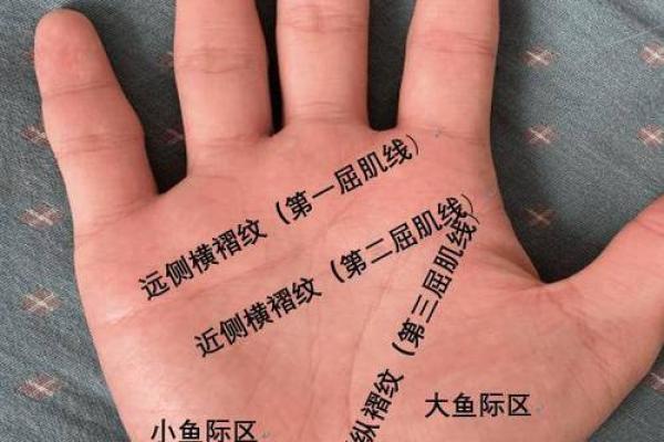 掌纹中的乱纹：探究你人生的转折点