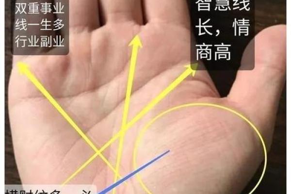 为什么手掌比手指长的手相更具独特性格？
