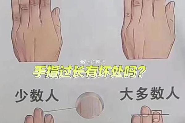 为什么手掌比手指长的手相更具独特性格？