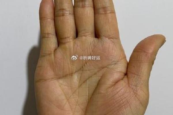 梦到被看手相，是否预示着未来的变化与挑战