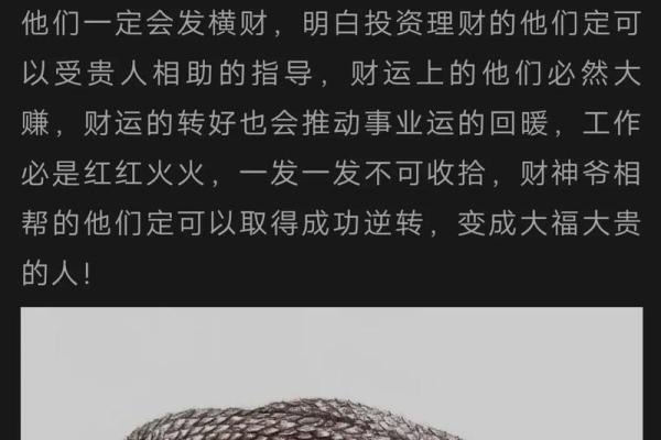 兔男蛇女配吗？两者性格与爱情的碰撞