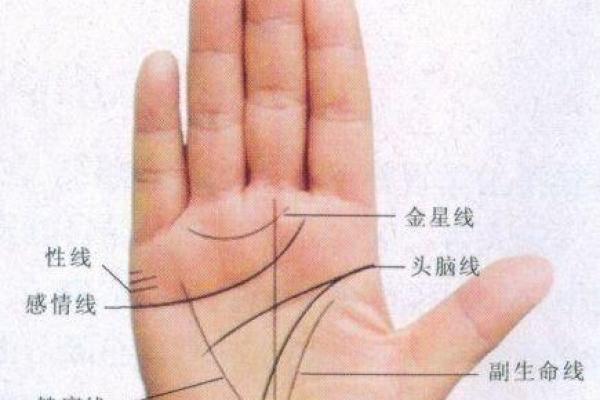 通过手相窥探未来：一段关于命运与选择的小说