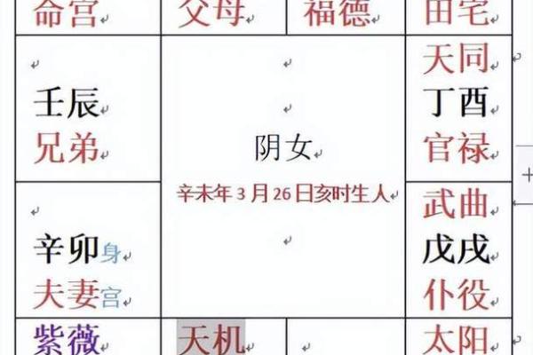 如何通过中国紫微排盘揭示个人命运与性格特点