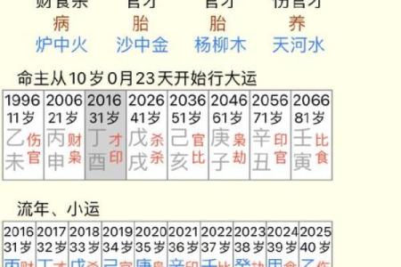 财位风水书：提升财富运势的必读指南