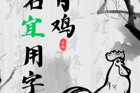 给鸡宝宝起名字的创意技巧与建议