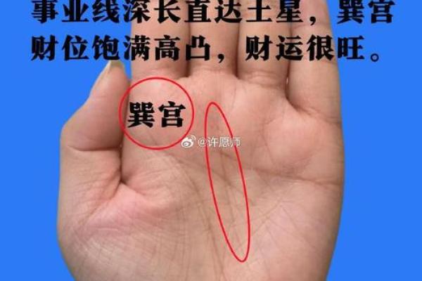 手相四边形的神秘解读：它能揭示哪些人生秘密？