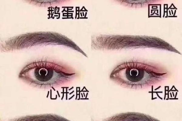 八字眉面相解读与性格分析