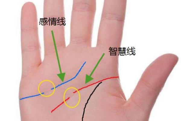 手相与性格分析：掌纹告诉你什么
