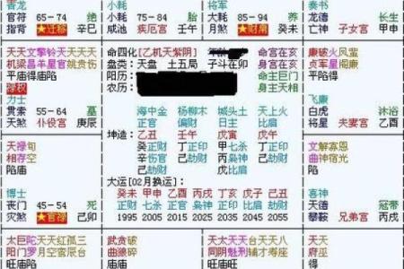 紫薇排盘的基本方法与注意事项