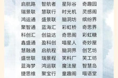 三藏公司起名技巧与创意建议