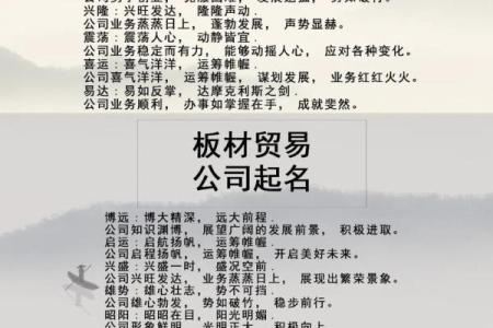 精准公司起名测试免费体验，打造专属企业名称