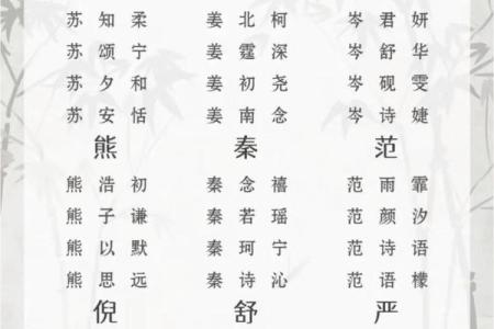 申姓宝宝起名指南：如何选出寓意深远的名字