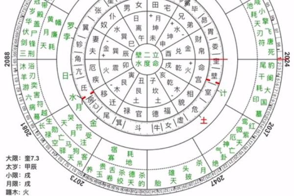 苏氏排盘在命理学中的应用与解析