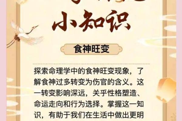 命理学中陈字的五行属性及其对命运的作用