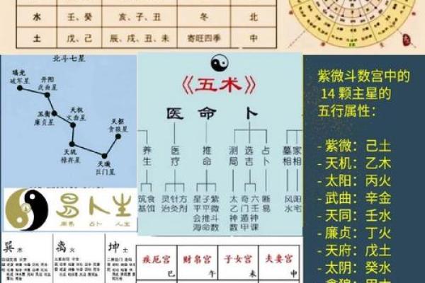 命理学中陈字的五行属性及其对命运的作用