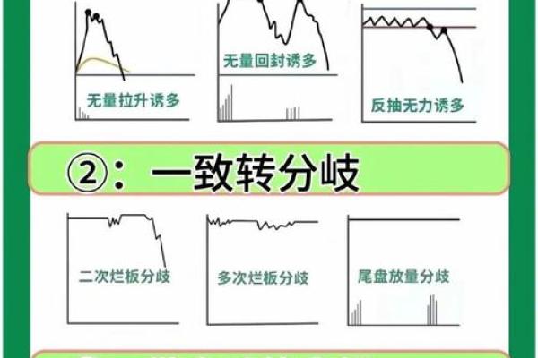 通过小成图在线排盘精准把握人生走势