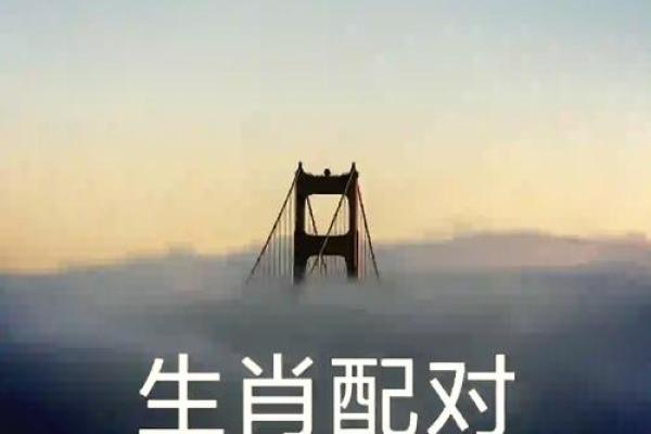 羊猴配对如何？了解这段婚姻的相容性与优缺点
