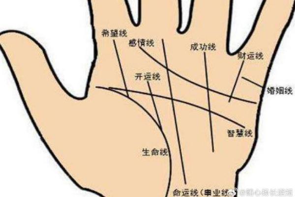 揭秘手相漏财纹：影响财富的手部特征