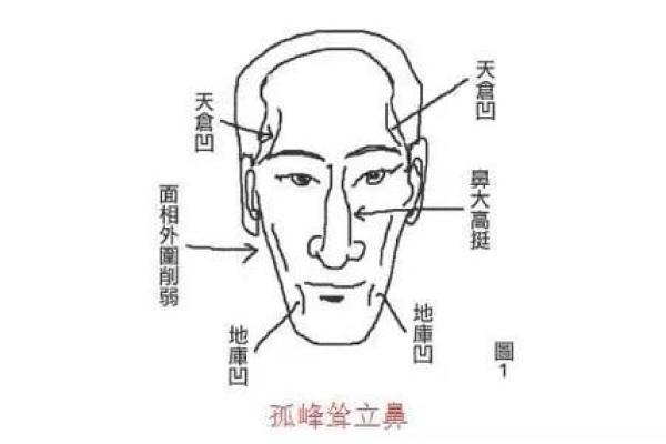 如何通过面相分析个人财运走势