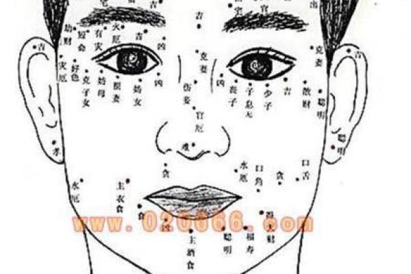 面相志揭秘：从面部特征看出你的性格与命运分析