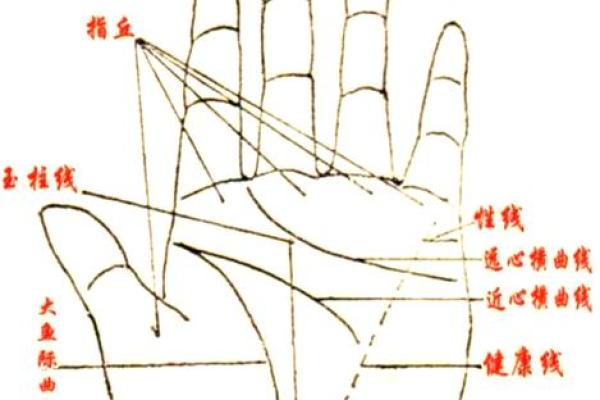 四条线手相解析：揭示命运与个性深层奥秘