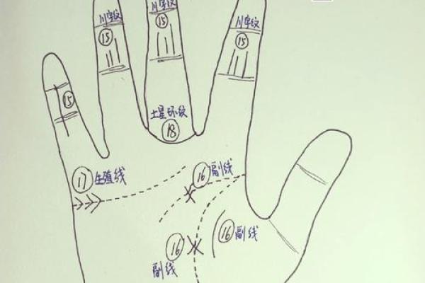 四条线手相解析：揭示命运与个性深层奥秘