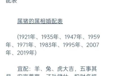 属猪男与属虎女的爱情能否走得长久？揭秘生肖配对的秘密