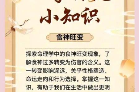 命理学中陈字的五行属性及其对命运的作用