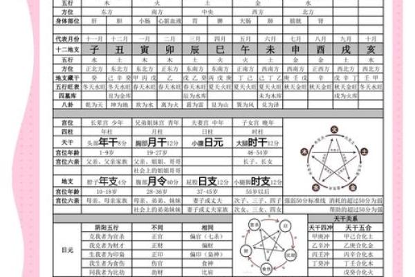 天干甲乙的区别与联系解析