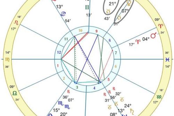 如何选择和使用排盘程序进行精准星座分析