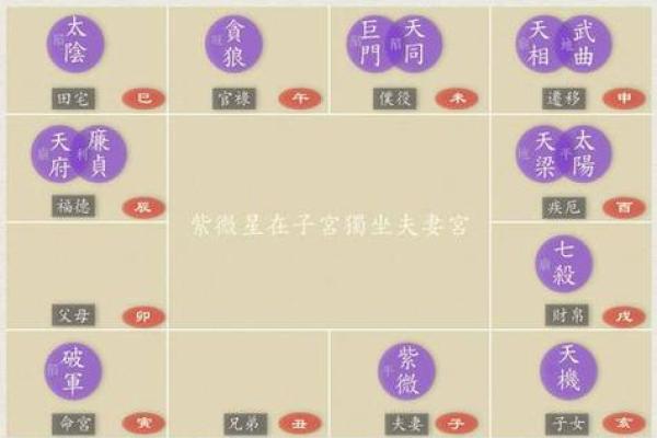 紫薇星盘在线排盘：解密个人命运的第一步