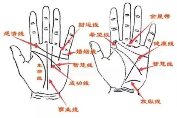 漏财纹解析：从手相看你是否容易财务流失