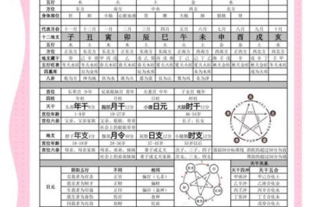 天干甲乙的区别与联系解析